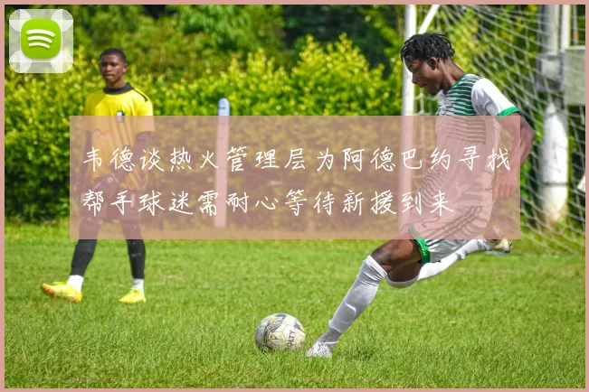 韦德谈热火管理层为阿德巴约寻找帮手球迷需耐心等待新援到来