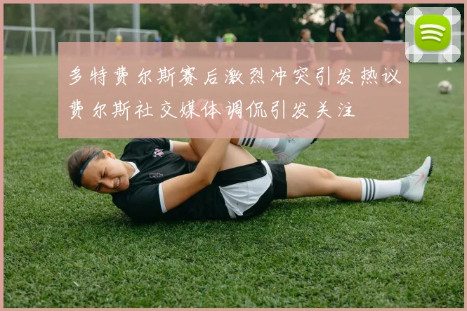 多特费尔斯赛后激烈冲突引发热议费尔斯社交媒体调侃引发关注