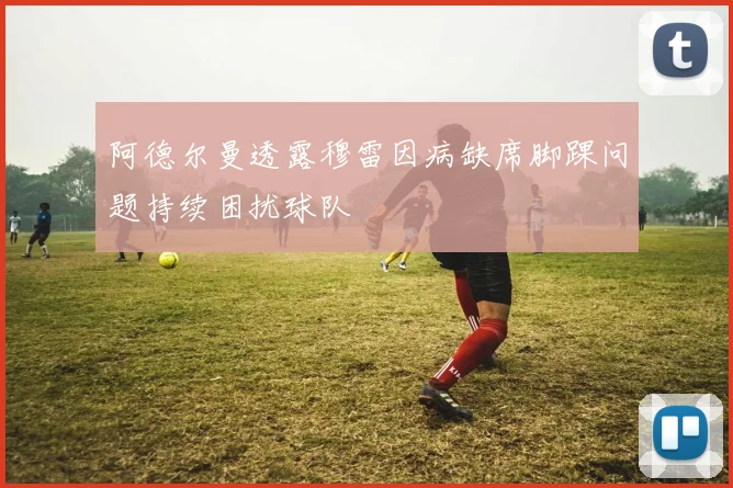 阿德尔曼透露穆雷因病缺席脚踝问题持续困扰球队